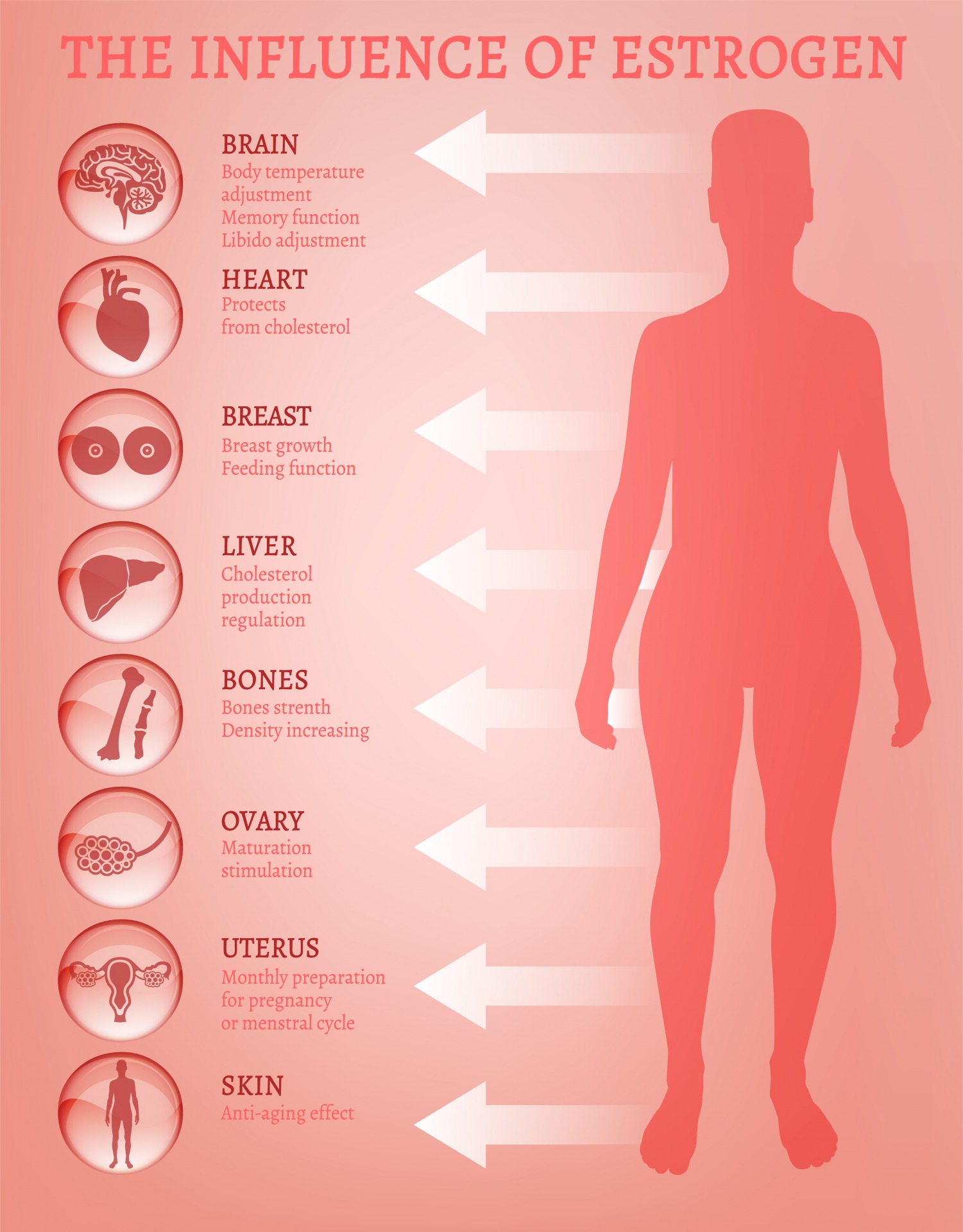  Early Menopause And Breast Cancer Breast Cancer Care WA